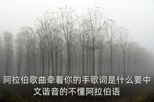 阿拉伯歌曲牵着你的手歌词是什么要中文谐音的不懂阿拉伯语