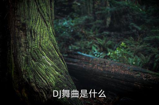 dj算什么广场舞玫香，广场舞dj舞曲歌词中含有算了吧爱了吧的歌名有哪些