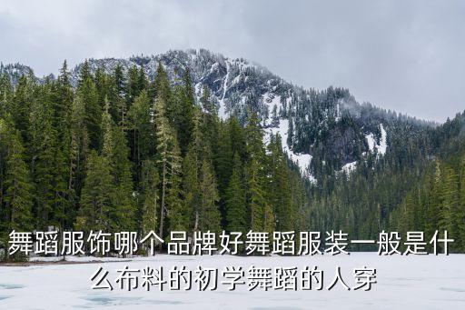 舞蹈服饰哪个品牌好舞蹈服装一般是什么布料的初学舞蹈的人穿