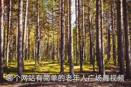 哪个网站有简单的老年人广场舞视频