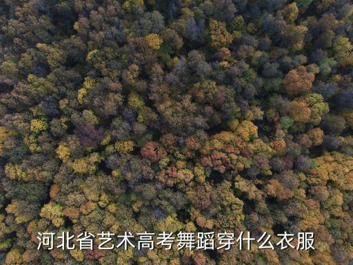 舞蹈艺考剧目服装怎么选，参加省统考 考舞蹈学 舞蹈编导 我考现代舞的穿什么服装合适民族