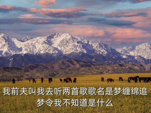 我前夫叫我去听两首歌歌名是梦缠绵追梦令我不知道是什么