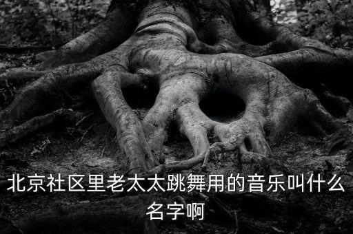 老大妈的广场舞音乐是什么，给力星期天最后一期里那群大妈跳的大葱舞的歌叫什么名字
