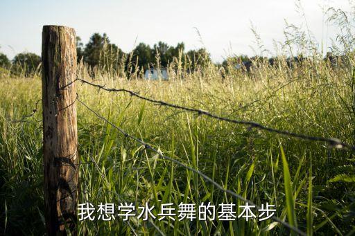 如何学水兵舞，好想学会水兵舞北京的冬冬老师水兵舞太好看就是不知道该怎么才