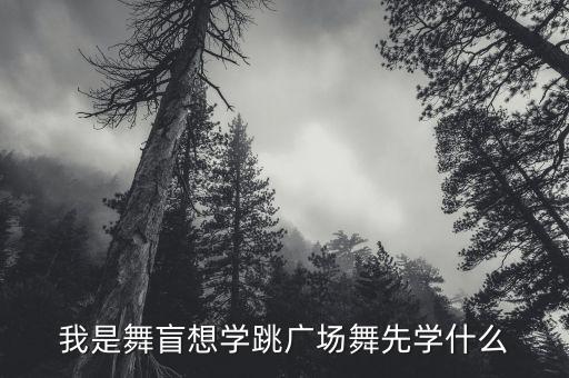 我是舞盲想学跳广场舞先学什么
