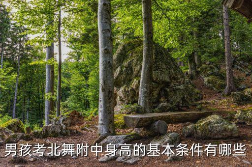 男孩考北舞附中身高的基本条件有哪些