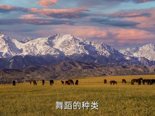 舞蹈的种类