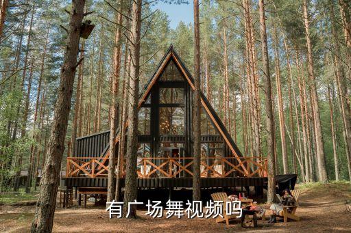 有广场舞视频吗