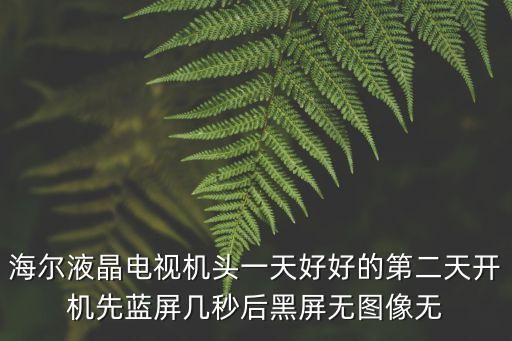 海尔液晶电视机头一天好好的第二天开机先蓝屏几秒后黑屏无图像无