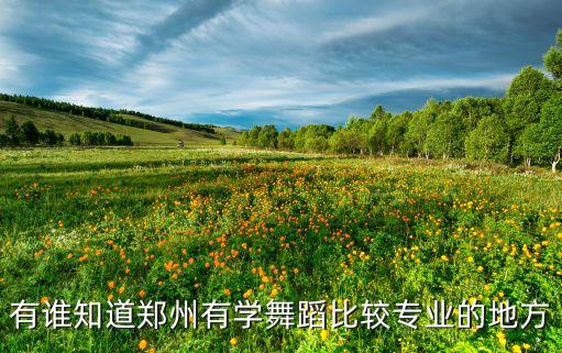 学舞蹈去郑州哪里好，郑州哪里有学舞蹈比较好比较专业的地方