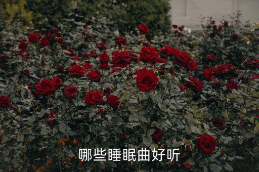 哪些睡眠曲好听