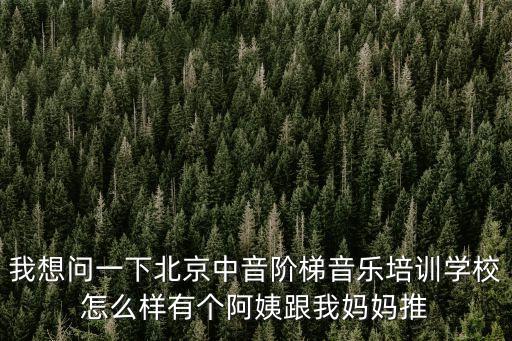 我想问一下北京中音阶梯音乐培训学校怎么样有个阿姨跟我妈妈推