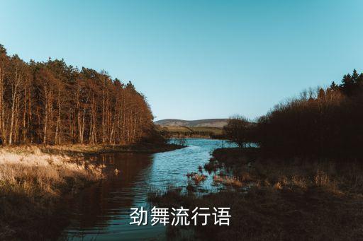劲舞流行语