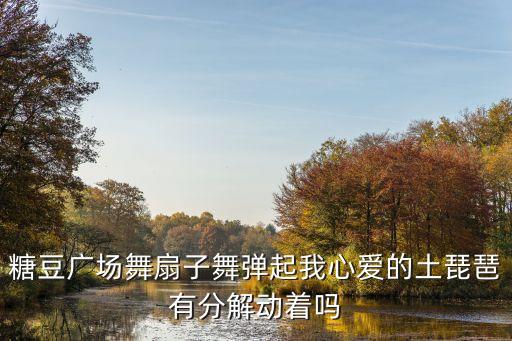糖豆广场舞扇子舞弹起我心爱的土琵琶有分解动着吗