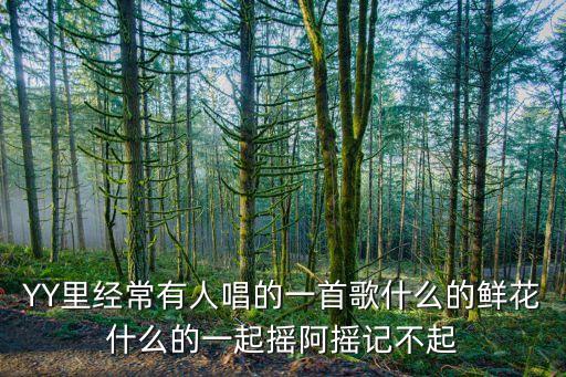 YY里经常有人唱的一首歌什么的鲜花什么的一起摇阿摇记不起