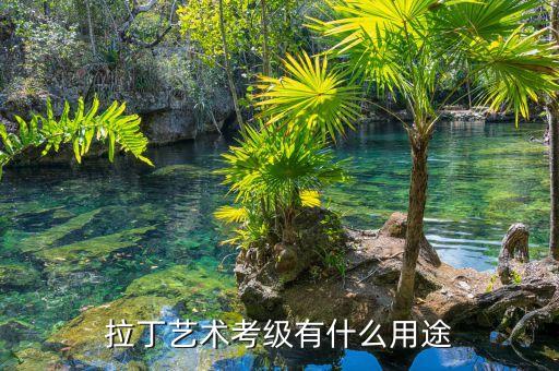 拉丁艺术考级有什么用途