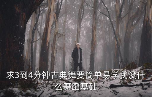 求3到4分钟古典舞要简单易学我没什么舞蹈基础