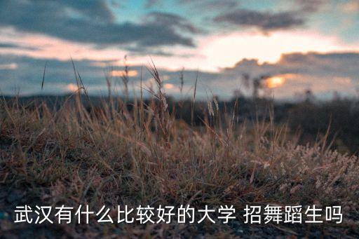 武汉有什么舞蹈大学排名，武汉最好的舞蹈学校是