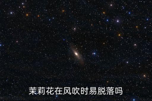 茉莉花在风吹时易脱落吗