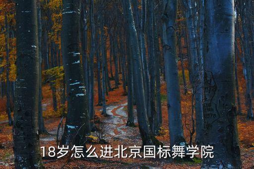 18岁怎么进北京国标舞学院