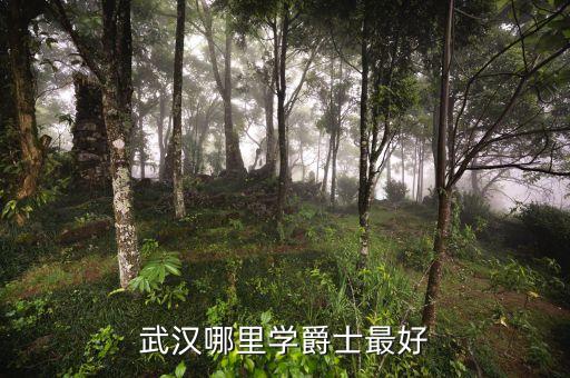 爵士进修在哪里，上海哪里有学爵士舞