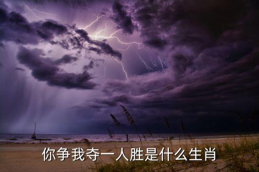你争我夺一人胜是什么生肖