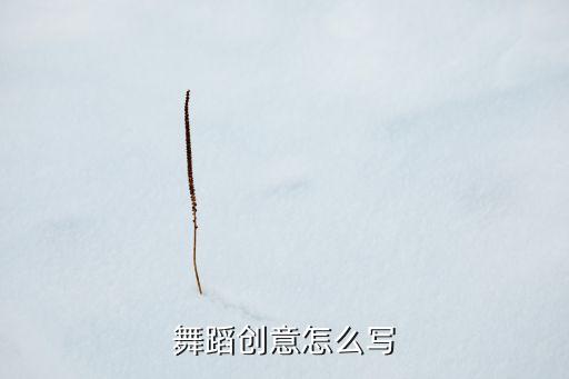 舞蹈创意怎么写