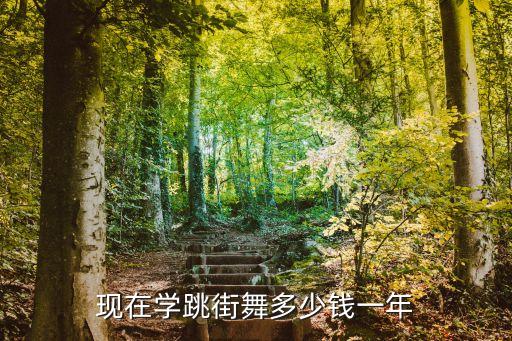 现在学跳街舞多少钱一年
