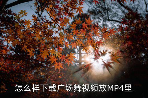 怎么样下载广场舞视频放MP4里
