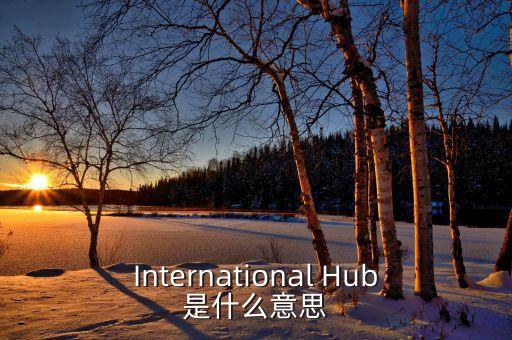 International Hub是什么意思