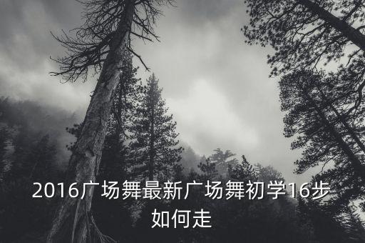 2016广场舞最新广场舞初学16步如何走