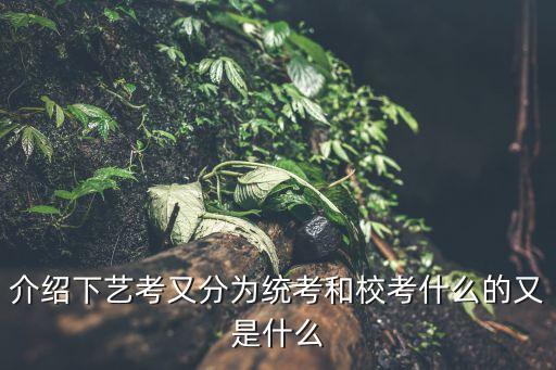 介绍下艺考又分为统考和校考什么的又是什么