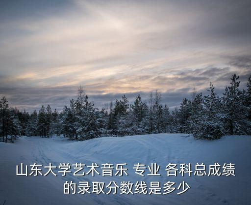 山东大学艺术音乐 专业 各科总成绩 的录取分数线是多少