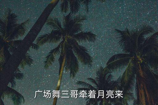 广场舞三哥牵着月亮来
