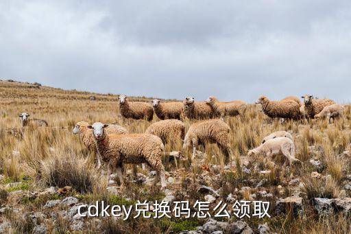 闪亮之名兑换码，兑换码怎么获得