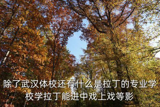 除了武汉体校还有什么是拉丁的专业学校学拉丁能进中戏上戏等影