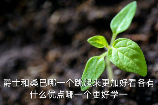 伦巴和爵士哪个更有舞感，爵士和桑巴哪一个跳起来更加好看各有什么优点哪一个更好学一
