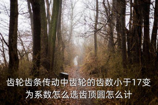 17人变圆形舞怎么变的，齿轮齿条传动中齿轮的齿数小于17变为系数怎么选齿顶圆怎么计