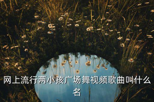 网上流行两小孩广场舞视频歌曲叫什么名