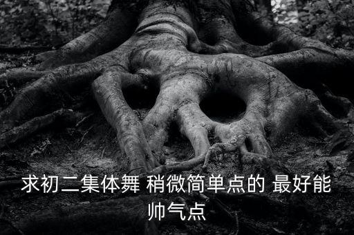 求初二集体舞 稍微简单点的 最好能帅气点