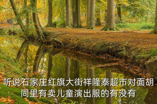 听说石家庄红旗大街祥隆泰超市对面胡同里有卖儿童演出服的有没有