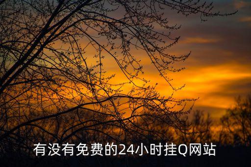 有没有免费的24小时挂Q网站