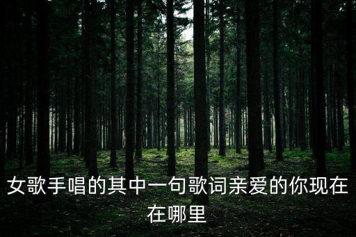 女歌手唱的其中一句歌词亲爱的你现在在哪里