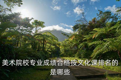 文过专排的美术院校，我的文科考了301美术专业过了专科线能上哪些些专科学校谢谢