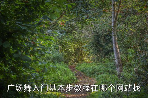 广场舞入门基本步教程在哪个网站找