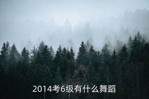 2014考6级有什么舞蹈