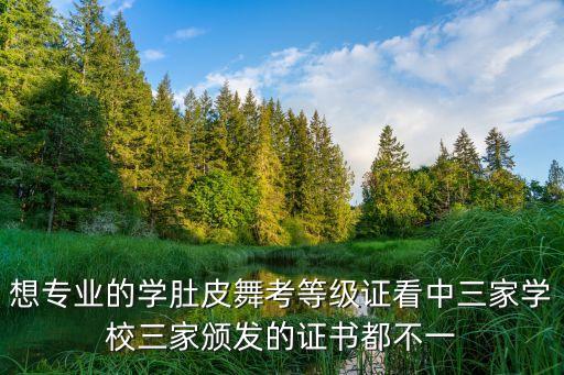 想专业的学肚皮舞考等级证看中三家学校三家颁发的证书都不一