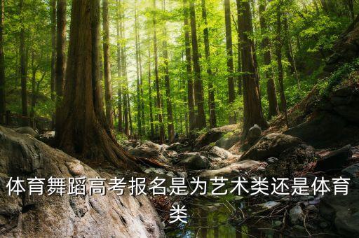 体育舞蹈高考报名是为艺术类还是体育类