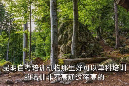 自考培训机构，自考培训机构哪个好