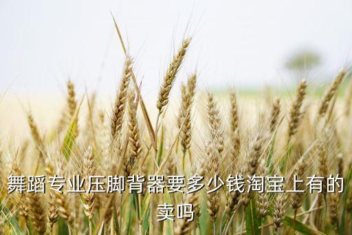 舞蹈专业压脚背器要多少钱淘宝上有的卖吗